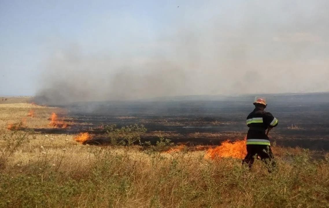 Cəlilabadda 10 hektar ərazini əhatə edən yanğın söndürülüb